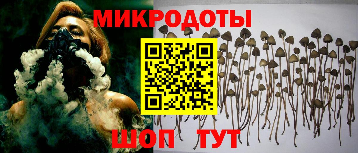 Псилоцибиновые грибы GOLDEN TEACHER Хасавюрт