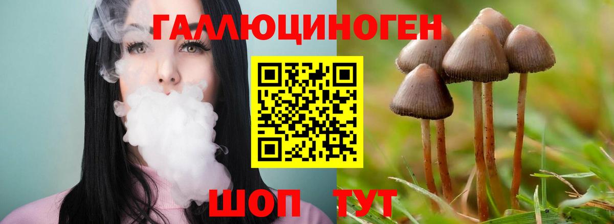 Галлюциногенные грибы Psilocybine cubensis  Вход с VPN  Хасавюрт 